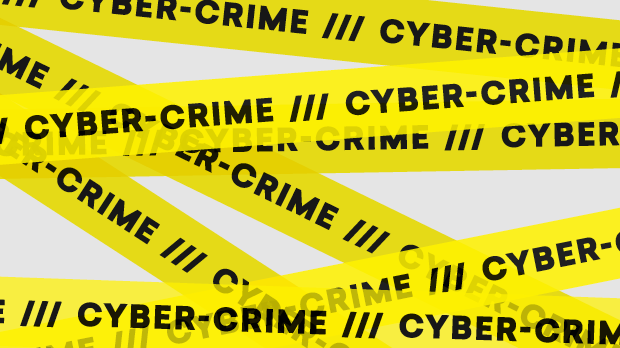 Die Cyber-Staatsanwältin