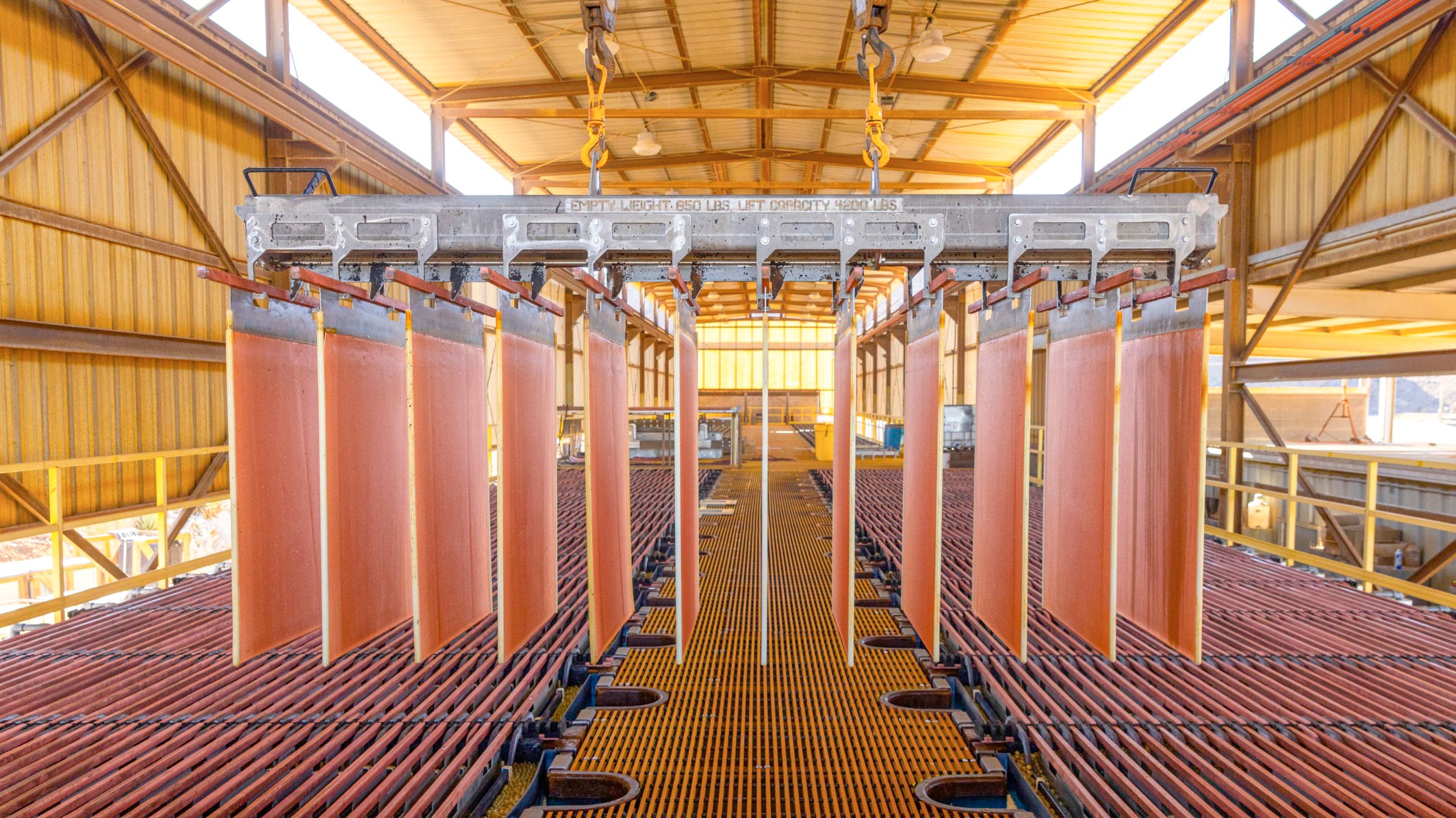 Kupferkathoden hängen in Reihen über einem Elektrolysebecken in einer industriellen Halle – gewonnen mit Bioleaching-Verfahren mithilfe von Mikroorganismen
